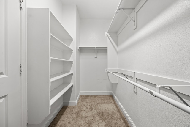 walk in closet featuring light carpet