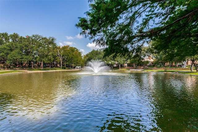 property view of water