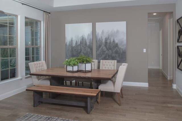 dining space featuring hardwood / wood-style flooring