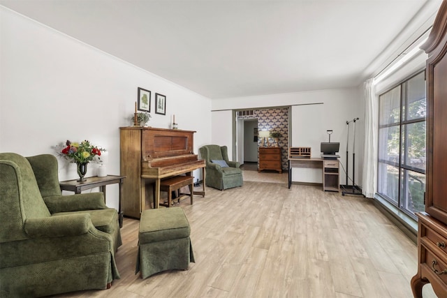 living room featuring light wood-type flooring