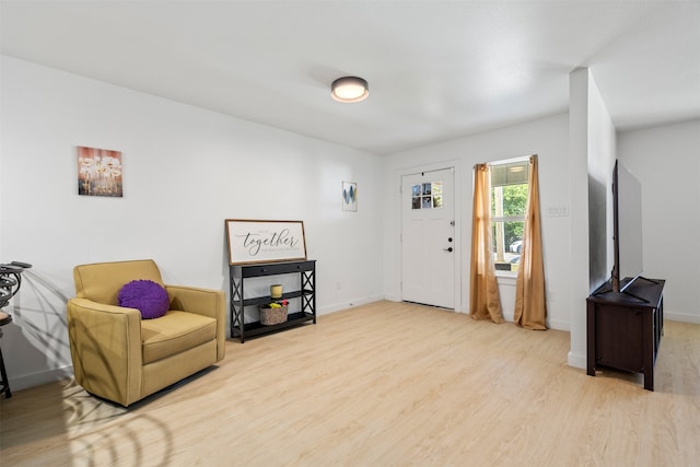 entrance foyer featuring light wood-type flooring