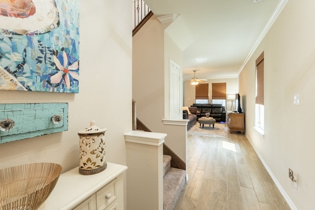 hallway featuring light hardwood / wood-style flooring and crown molding