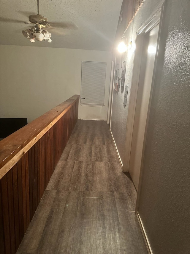 hallway featuring dark hardwood / wood-style flooring