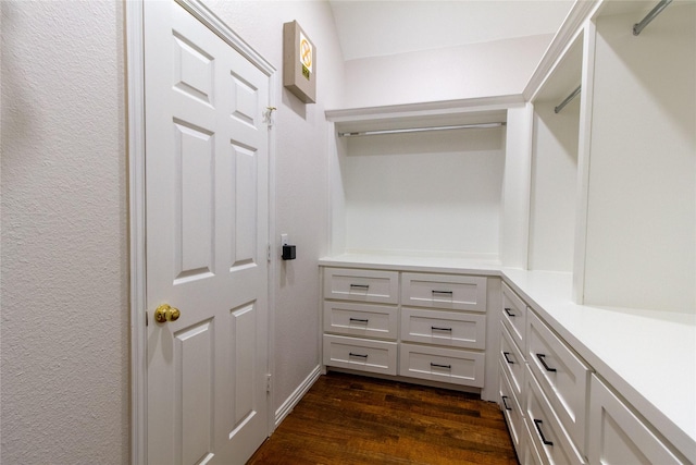 walk in closet featuring dark hardwood / wood-style flooring