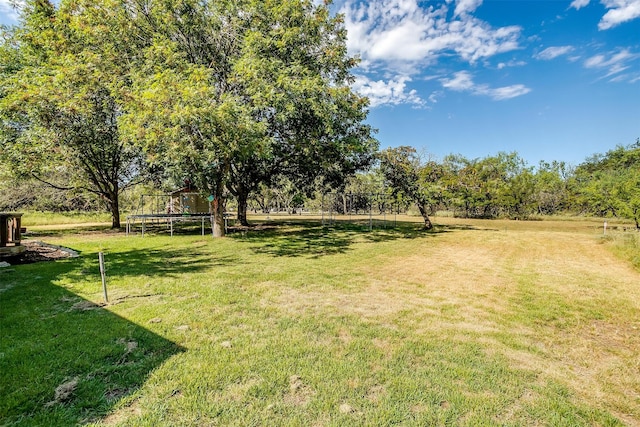 view of yard featuring a trampoline