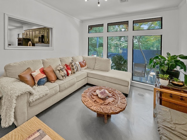 living room featuring concrete flooring, a healthy amount of sunlight, and crown molding