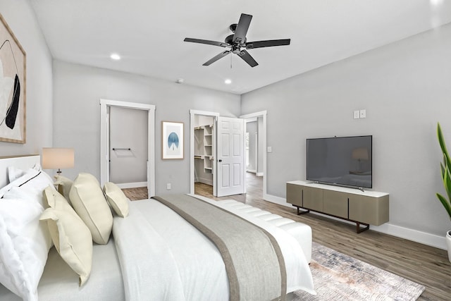 bedroom with a walk in closet, light wood-type flooring, a closet, and ceiling fan