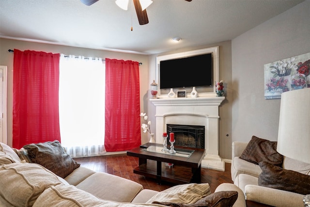 living room with ceiling fan and dark hardwood / wood-style floors