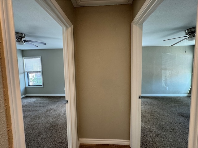 hallway with carpet floors