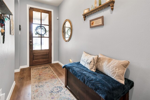 entryway featuring hardwood / wood-style flooring