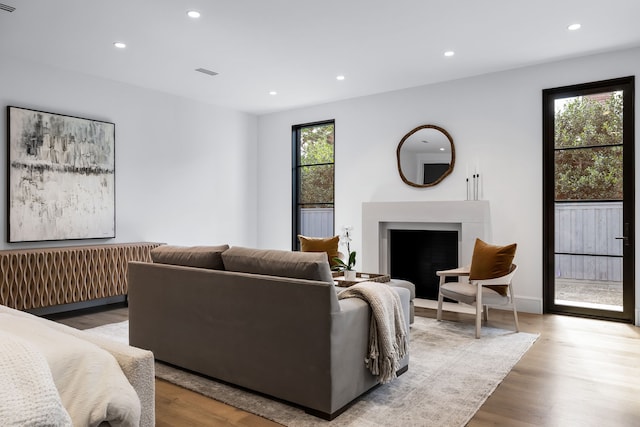 living room with light hardwood / wood-style flooring and plenty of natural light