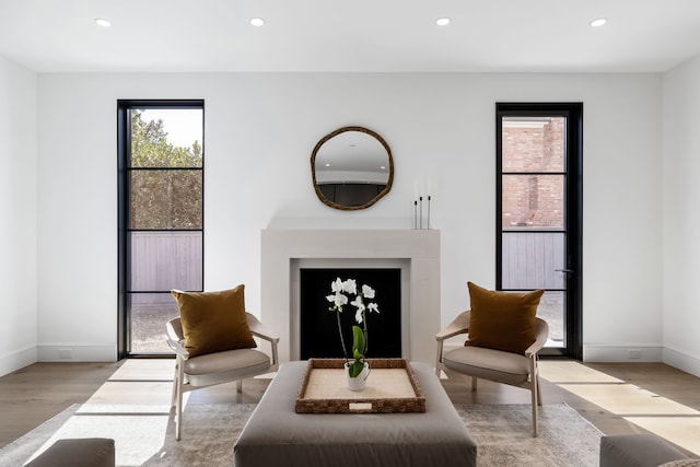 living area featuring light hardwood / wood-style floors