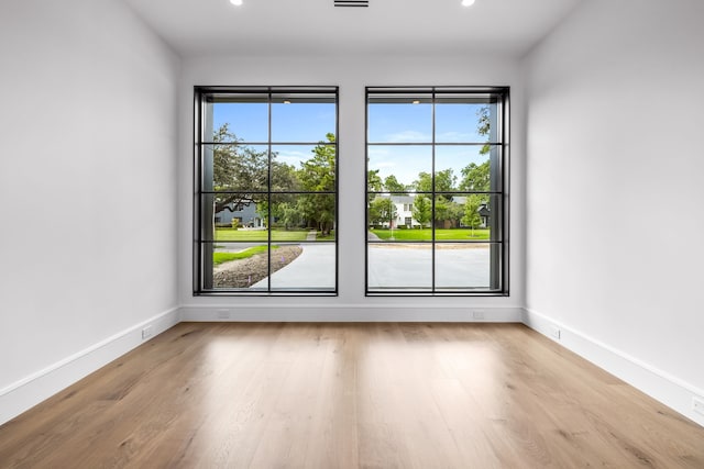 spare room with light hardwood / wood-style flooring and a healthy amount of sunlight