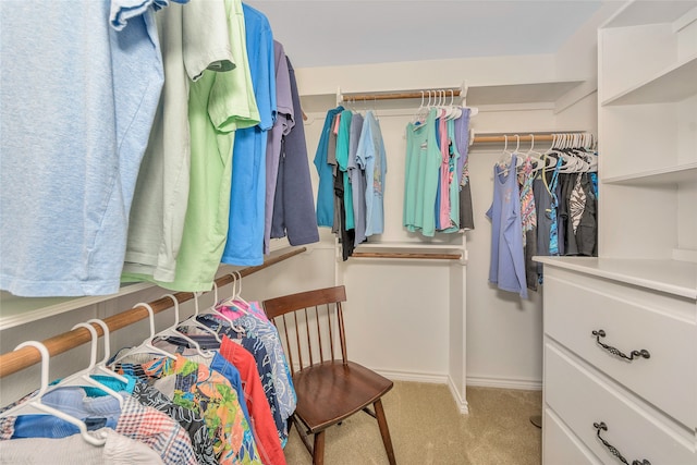 spacious closet featuring light carpet