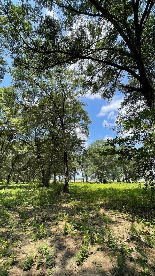 Listing photo 3 for TBDLOT1 County Road 355, Terrell TX 75161