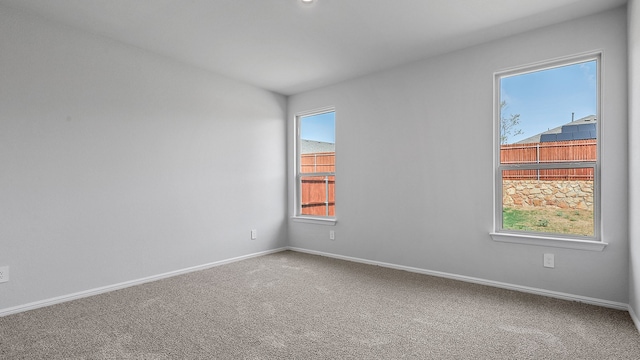 spare room featuring carpet floors and a wealth of natural light