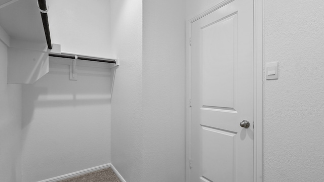 spacious closet featuring carpet flooring