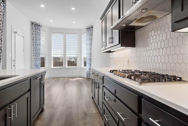 kitchen featuring tasteful backsplash, premium range hood, light hardwood / wood-style floors, and appliances with stainless steel finishes