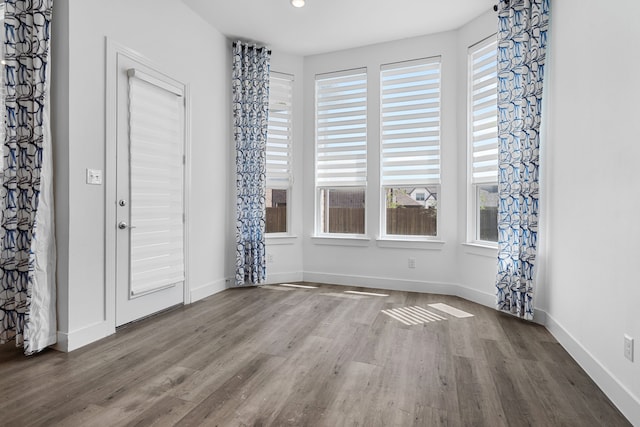 empty room featuring wood-type flooring and plenty of natural light