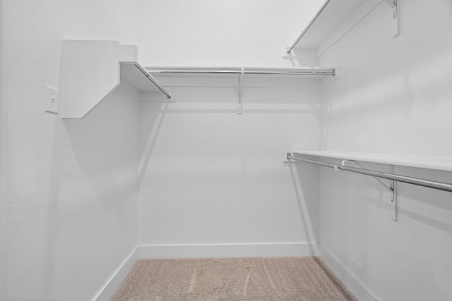 walk in closet with carpet floors