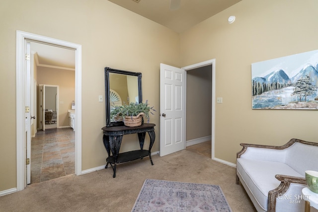 living area with light colored carpet