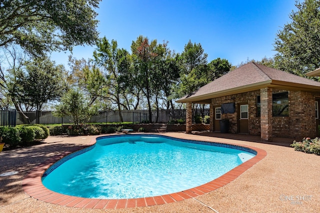 view of swimming pool featuring a patio and a diving board