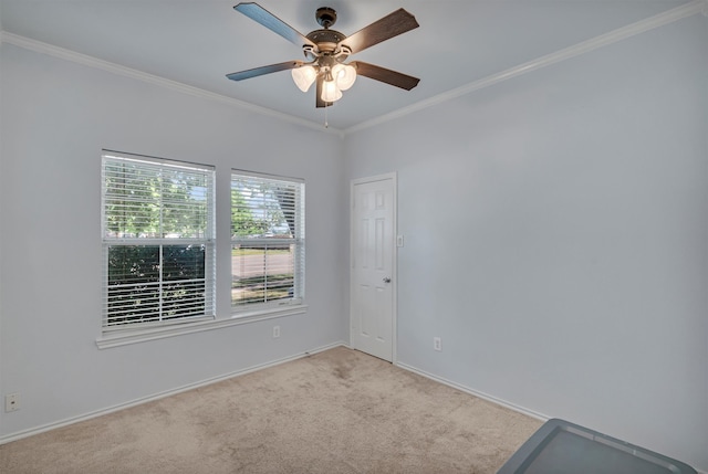 carpeted spare room with ceiling fan and crown molding