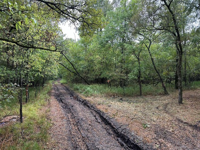 Listing photo 2 for TBD County Road 4727, Wolfe City TX 75087