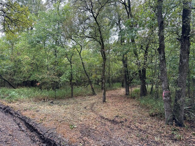 Listing photo 3 for TBD County Road 4727, Wolfe City TX 75087