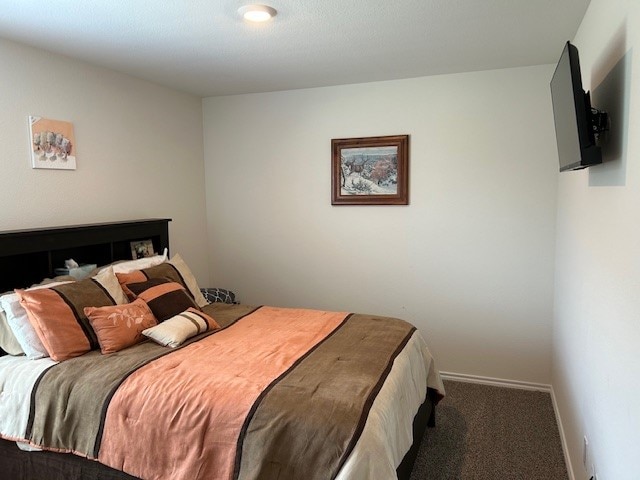 bedroom featuring carpet floors