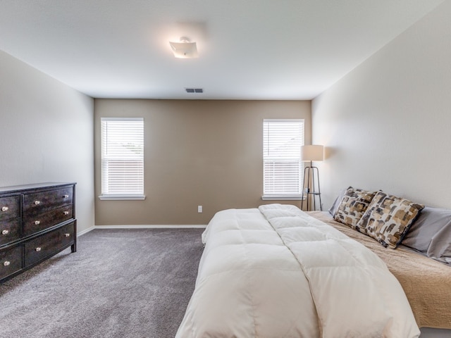 bedroom featuring multiple windows and carpet flooring