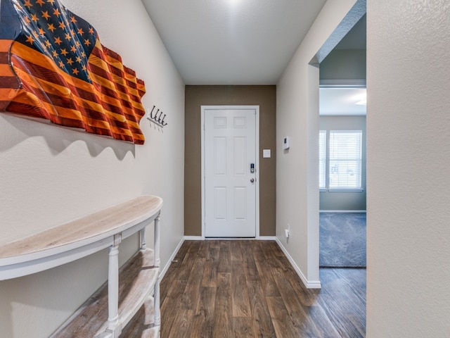 doorway to outside featuring dark wood-type flooring