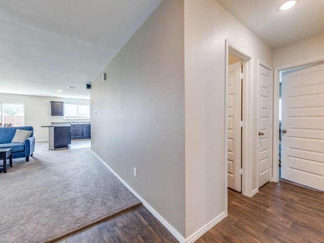 corridor featuring dark hardwood / wood-style floors