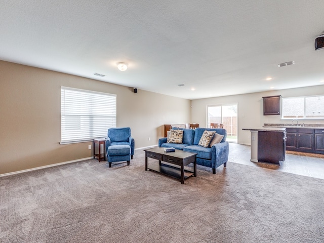 living room featuring a textured ceiling, light colored carpet, and sink