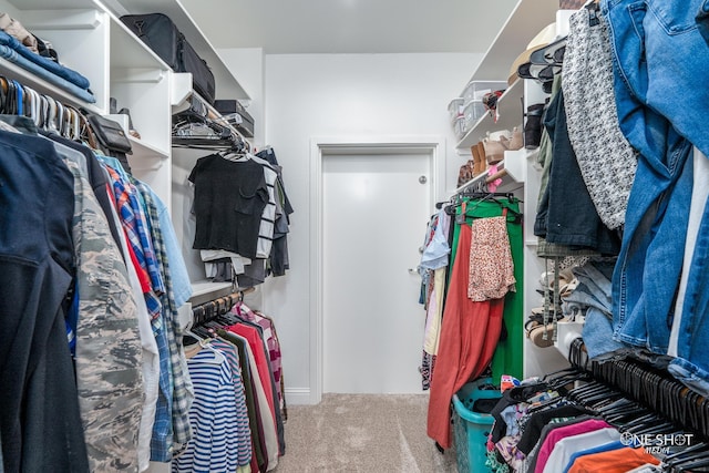 3085 County Road 131, Tuscola, TX 79562 - walk in closet with carpet floors