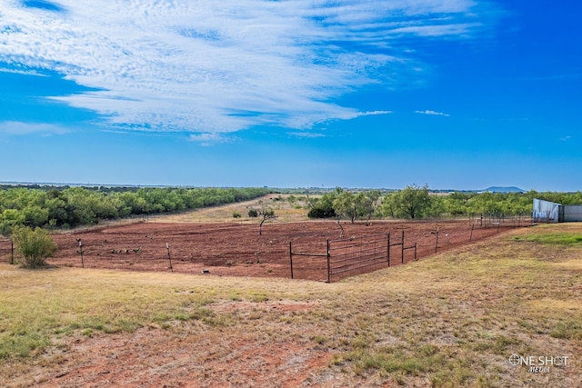 view of yard with fence and a rural view