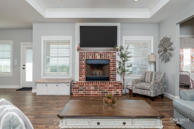 3085 County Road 131, Tuscola, TX 79562 - living room with a tray ceiling, dark wood finished floors, ornamental molding, a fireplace, and plenty of natural light