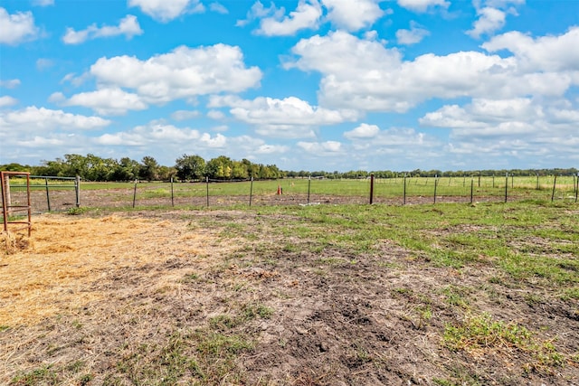 view of yard with a rural view