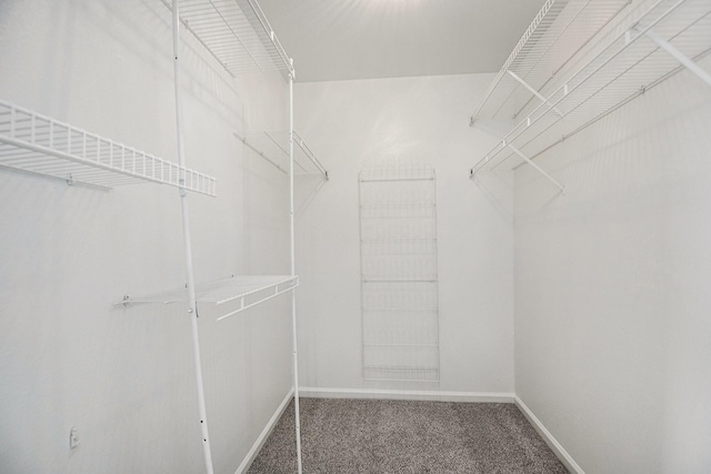 walk in closet featuring carpet