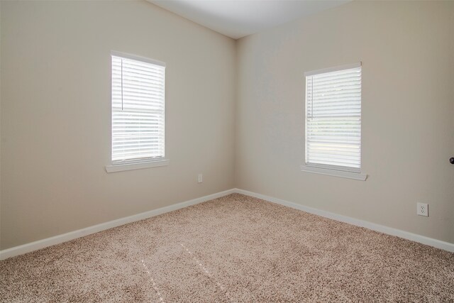 carpeted empty room featuring a wealth of natural light