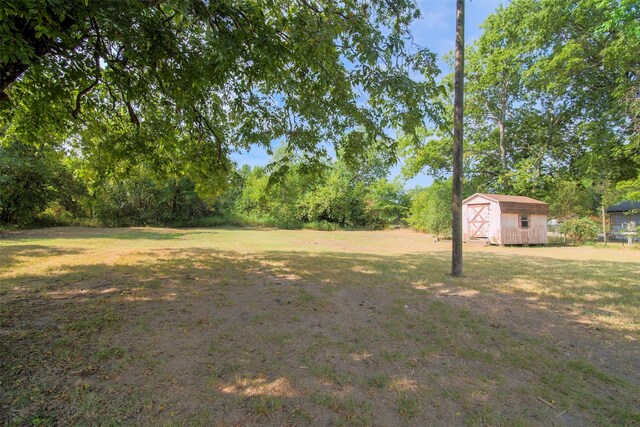 view of yard featuring a storage shed