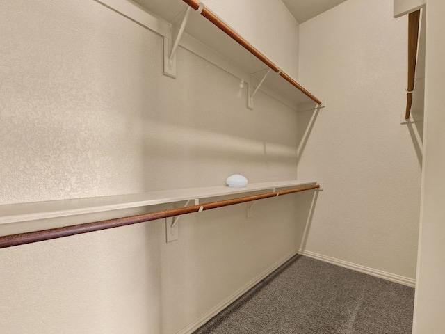 spacious closet with dark colored carpet