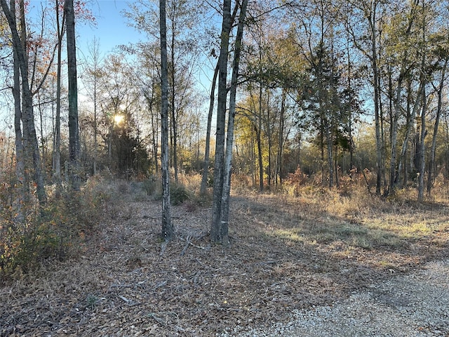 Listing photo 3 for TBD Fm 838, Overton TX 75684