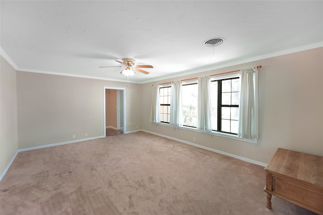 empty room featuring ceiling fan, carpet, and ornamental molding