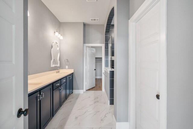 bathroom with hardwood / wood-style flooring and vanity