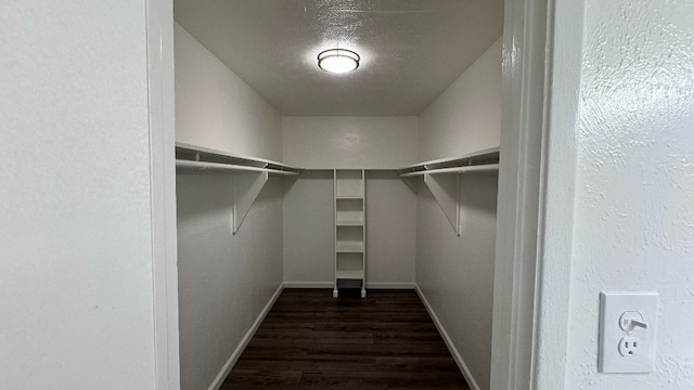 spacious closet featuring dark wood-type flooring