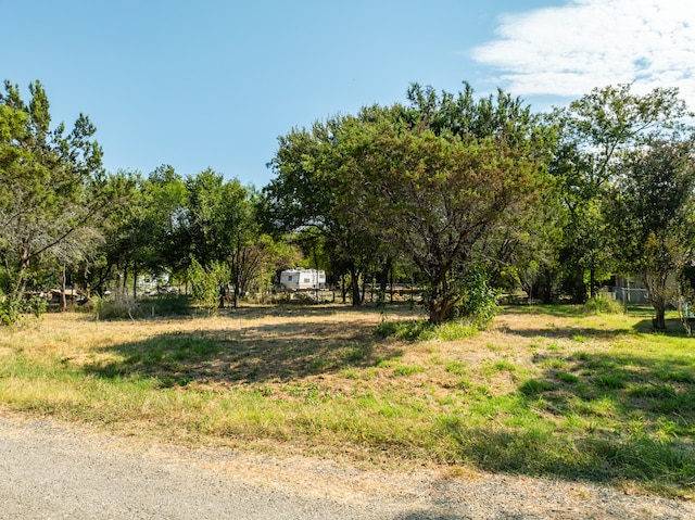 Listing photo 3 for TBD Grand Prairie Dr, Whitney TX 76692