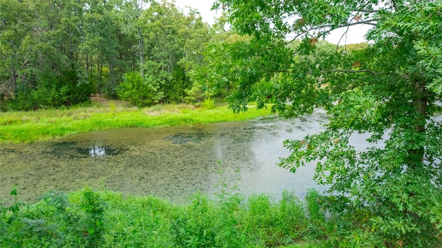 water view