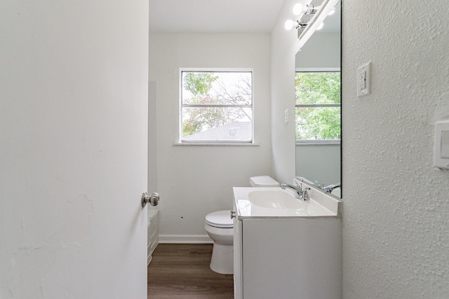 bathroom featuring toilet, vanity, and wood-type flooring