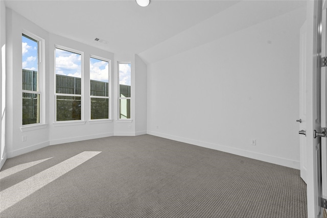 interior space with lofted ceiling